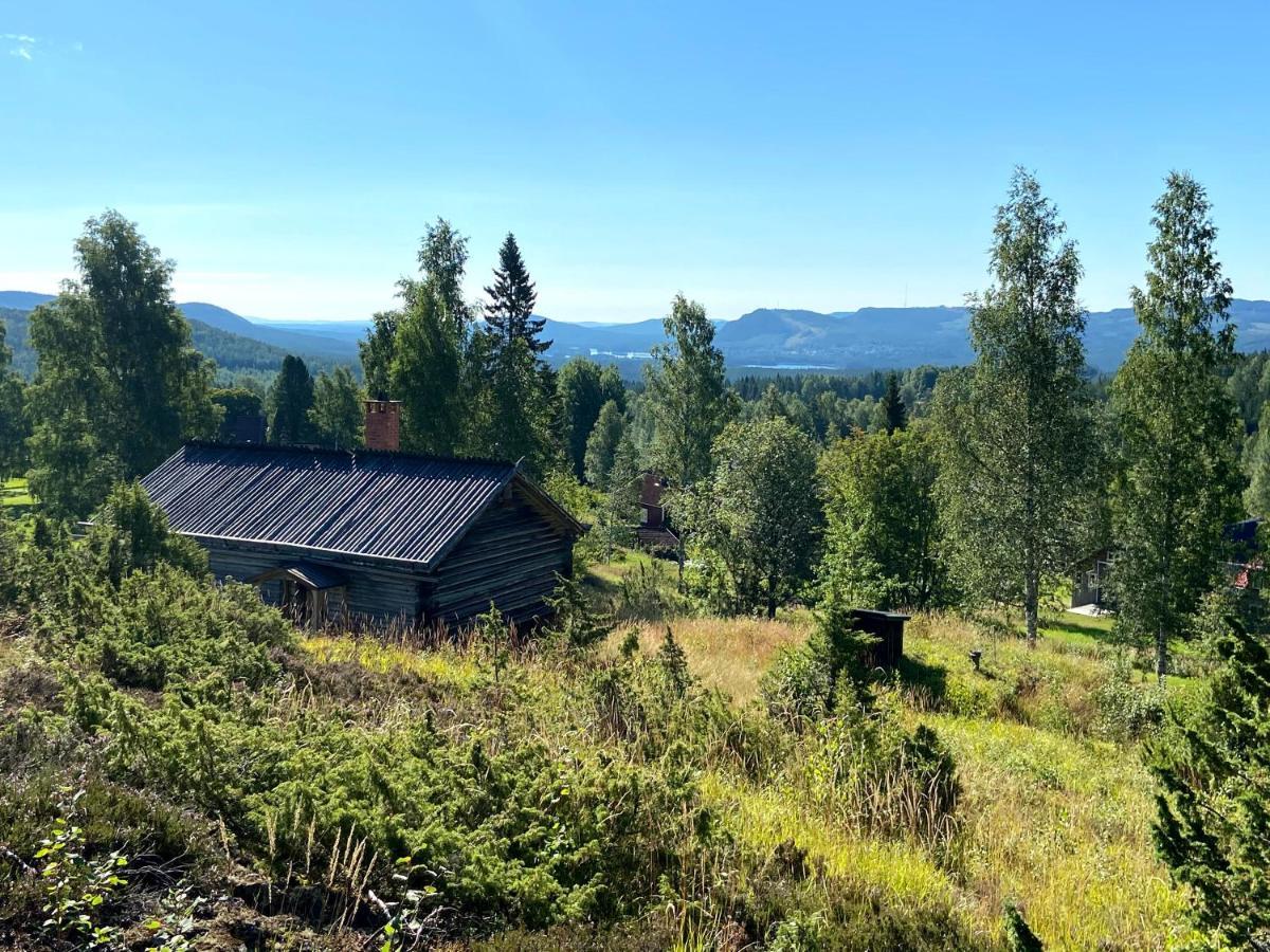 Beautiful 4-5 Persons Cottage In Alvdalen Blyberg 外观 照片